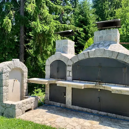 Darija Zlatar - Br 1