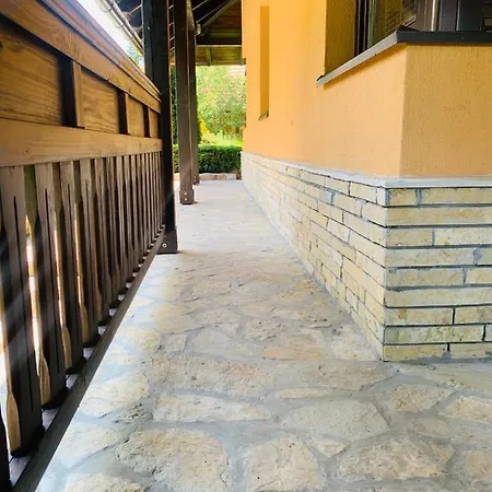 Darija Zlatar - Br 1