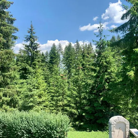 Darija Zlatar - Br 1 Nova Varoš