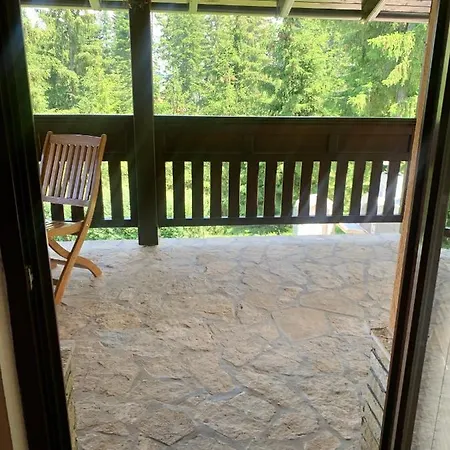 Darija Zlatar - Br 1 *