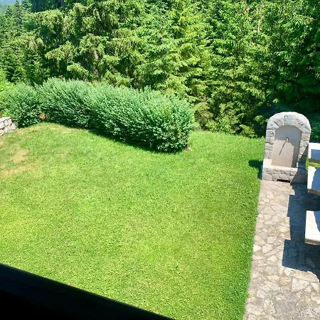 Darija Zlatar - Br 1 * Nova Varoš