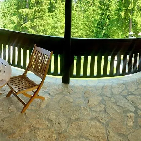 Darija Zlatar - Br 1 * Nova Varoš