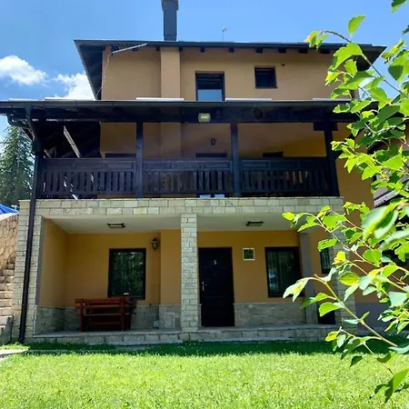 Darija Zlatar - Br 1