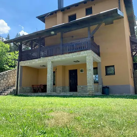 Darija Zlatar - Br 1 *