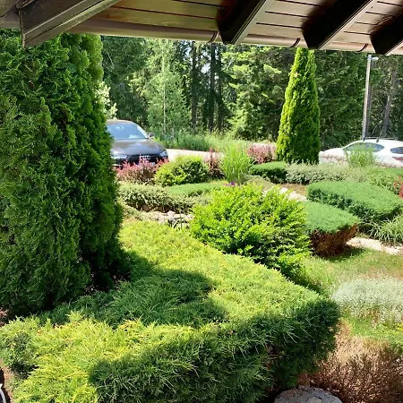 Darija Zlatar - Br 1 Nova Varoš